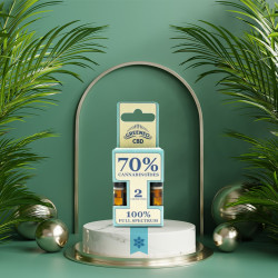 PACK DE 2 CARTOUCHES CBD STICK MENTHE - 70%