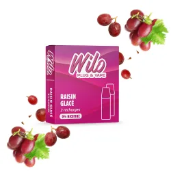 Recharges WILO - Raisin Glacé
