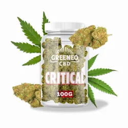 CRITICAL VRAC 100 GR