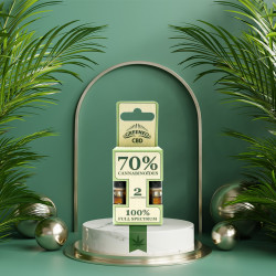 PACK DE 2 CARTOUCHES CBD STICK ORIGINAL - 70%