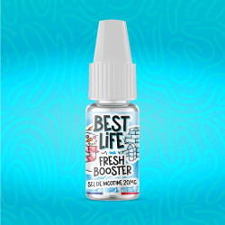 Booster sel de nicotine frais 20mg/ml