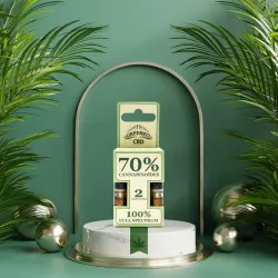 PACK DE 2 CARTOUCHES CBD STICK ORIGINAL - 70%