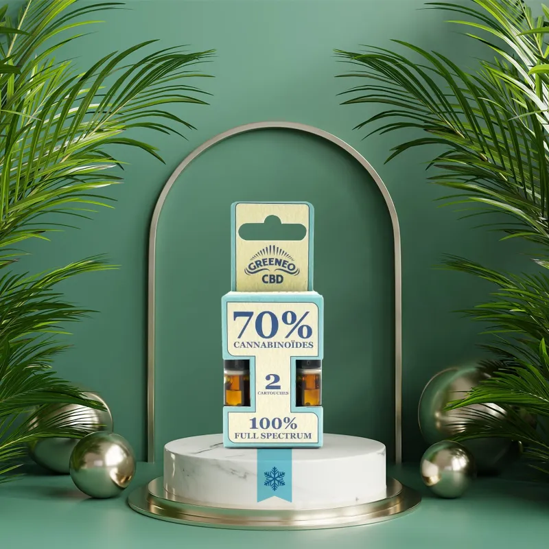 PACK DE 2 CARTOUCHES CBD STICK MENTHE - 70%