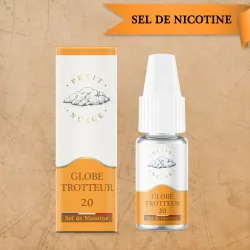SEL DE NICOTINE GLOBE TROTTEUR