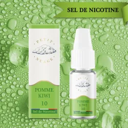 SEL DE NICOTINE POMME KIWI