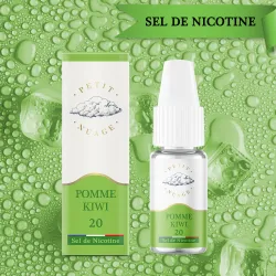 SEL DE NICOTINE POMME KIWI