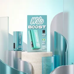 WILO BOOST Batterie BLEUE