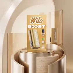 WILO BOOST Batterie OR